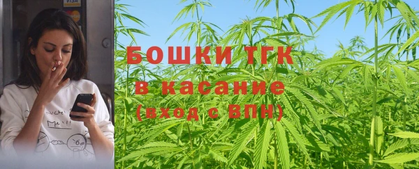 шишки Белоозёрский