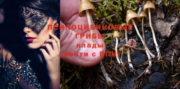 каннабис Беломорск