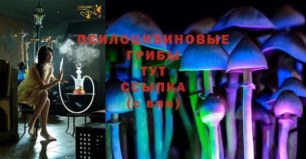 шишки Белоозёрский
