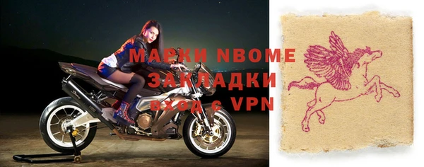 шишки Горно-Алтайск